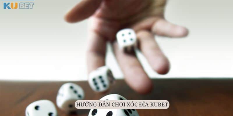 Xóc Đĩa Kubet - Sân Chơi Hàng Đầu Thị Trường 2024 8 Cược thủ chia sẻ hướng dẫn các bước tham gia chơi Xóc Đĩa